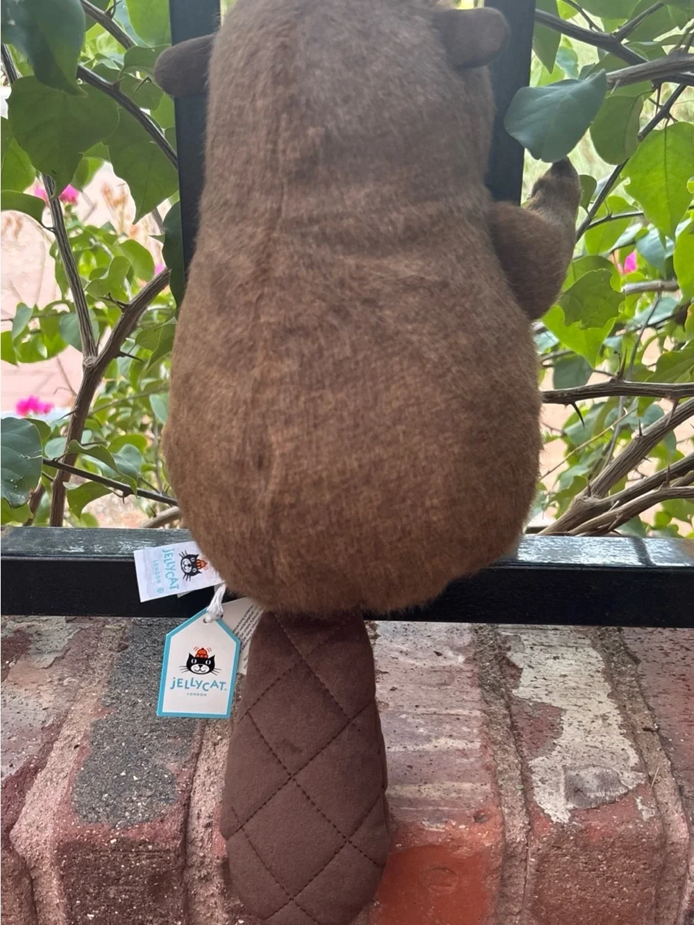 Exclusive Jellycat BRIGGS BEAVER Canada NWT brown softy HTF